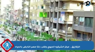 الزقازيق.. مركز الشرقية الحيوي وقلب دلتا مصر النابض بالحياة
